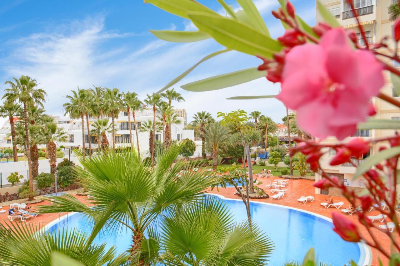 Studio Eldorado In Playa De Las Americas Near The Beach Arona  Exterior photo